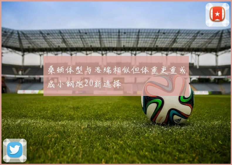 桑顿体型与洛瑞相似但体重更重或成小钢炮20新选择