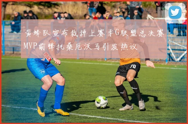 黄蜂队宣布裁掉上赛季G联盟总决赛MVP前锋托桑厄沃马引发热议